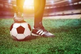 大乐透期号,专家质合分,瓦尔韦克胜,好博,好博体育,HaoBo,好博体育官网