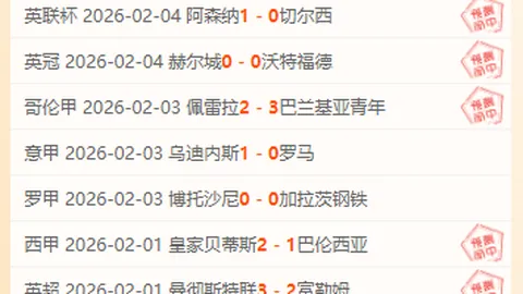 葡萄牙足球：替补与观众球员合力，特色独具