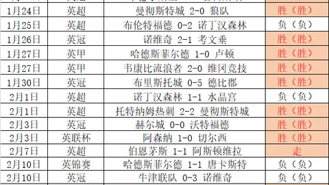 热刺迎战伤病潮：专家分析大乐透期号推荐